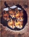 fox pups (click for large image)